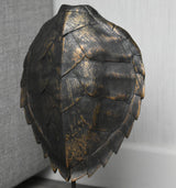 Faux bronze turtle shell sculpture with bronze colouring.  Bow & Miller Interiors